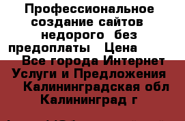 Профессиональное создание сайтов, недорого, без предоплаты › Цена ­ 5 000 - Все города Интернет » Услуги и Предложения   . Калининградская обл.,Калининград г.